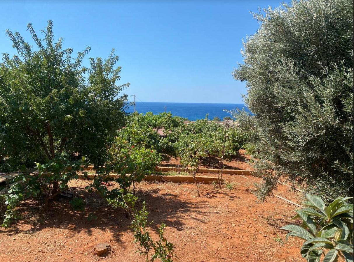 Vine Veranda Palaiochora Dış mekan fotoğraf